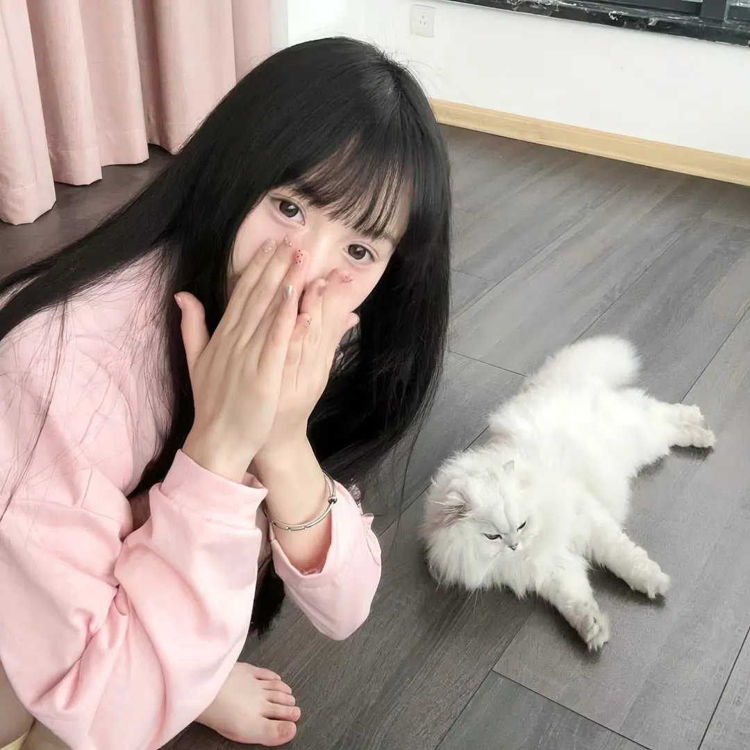 穿越之大小姐的极品家丁